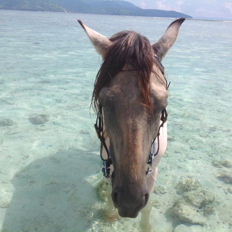 Отель Gili T Sugar Shack Гили Траванган Экстерьер фото